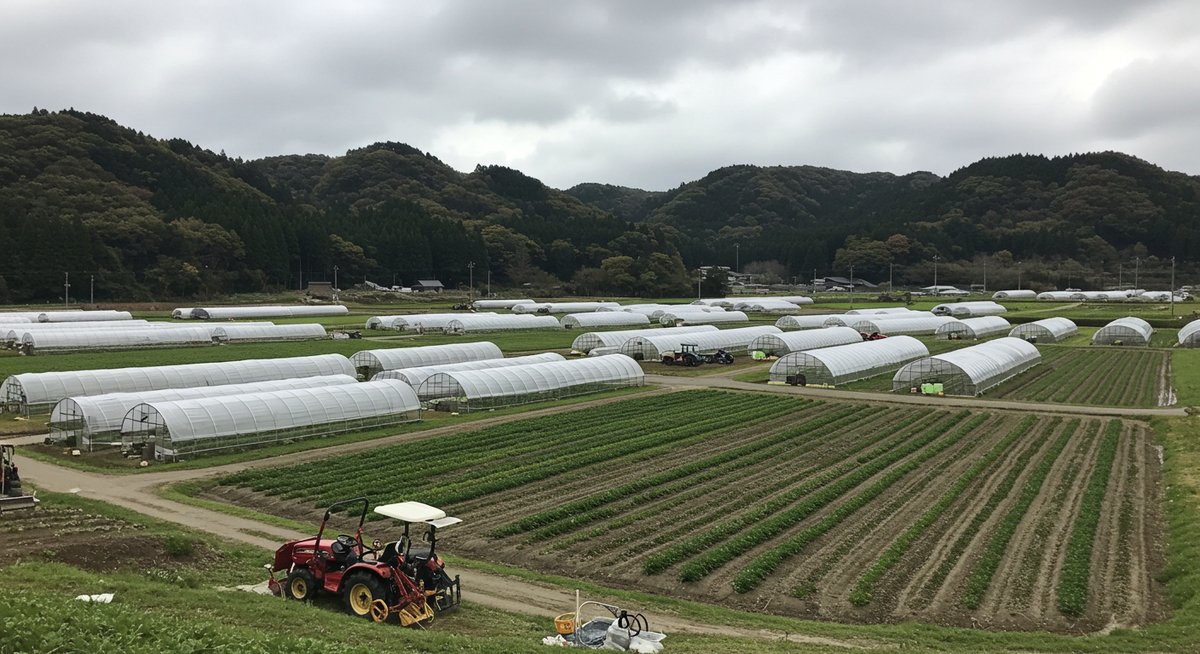 農業 新規 参入 難しい 理由