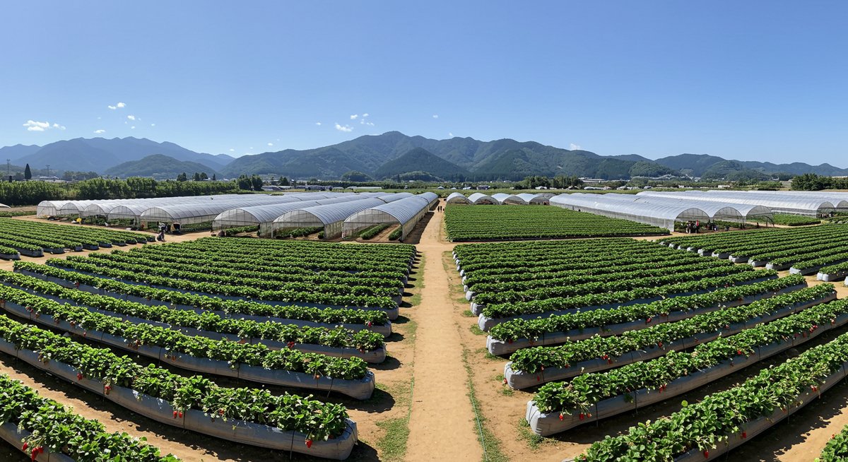 いちご狩り 値段 平均